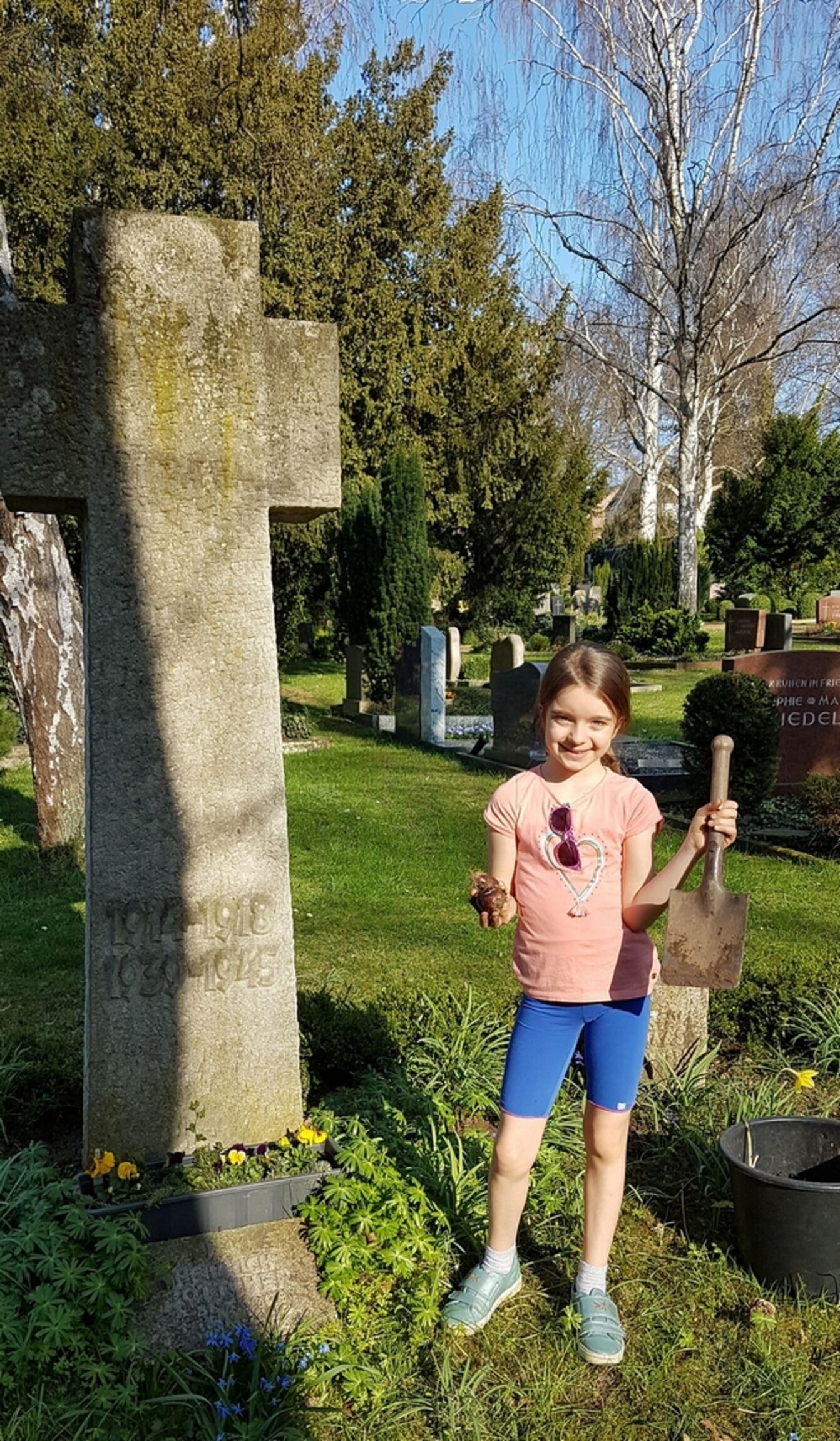 StNicolaiSarstedt_Blumenzwiebeln auf dem Friedhof
