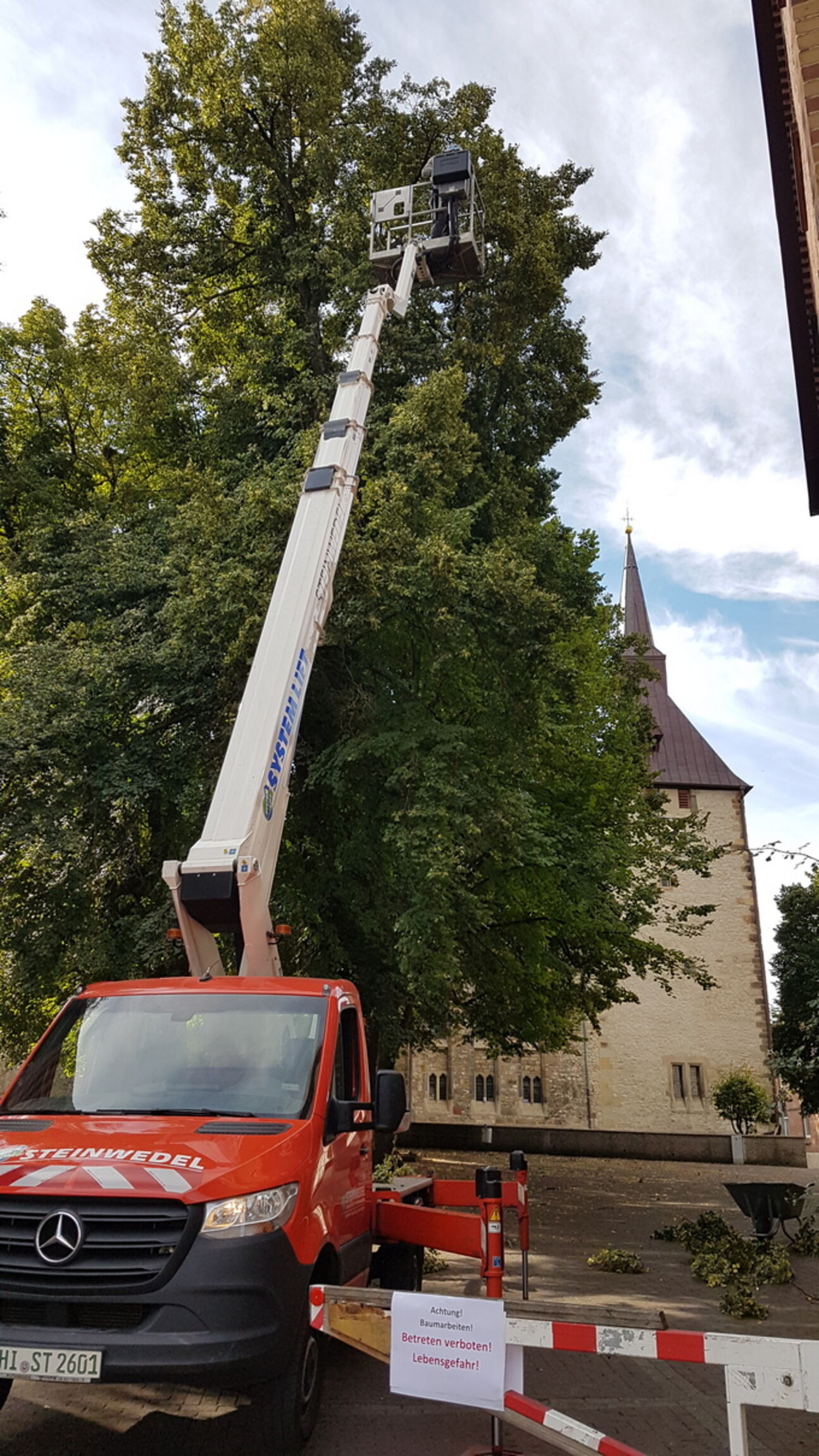 StNicolaiSarstedt_Baumpflege