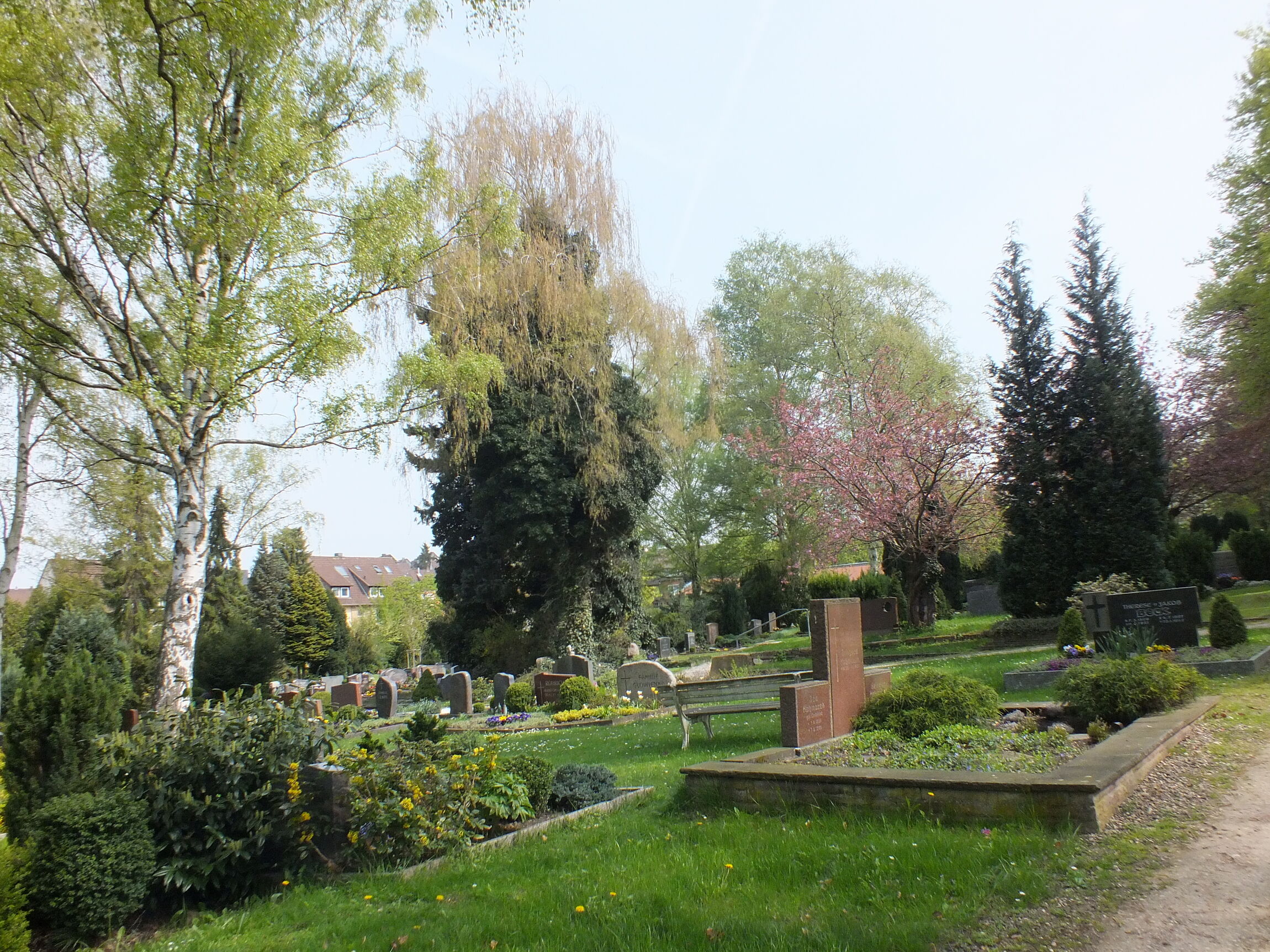 Foto_Friedhof_1