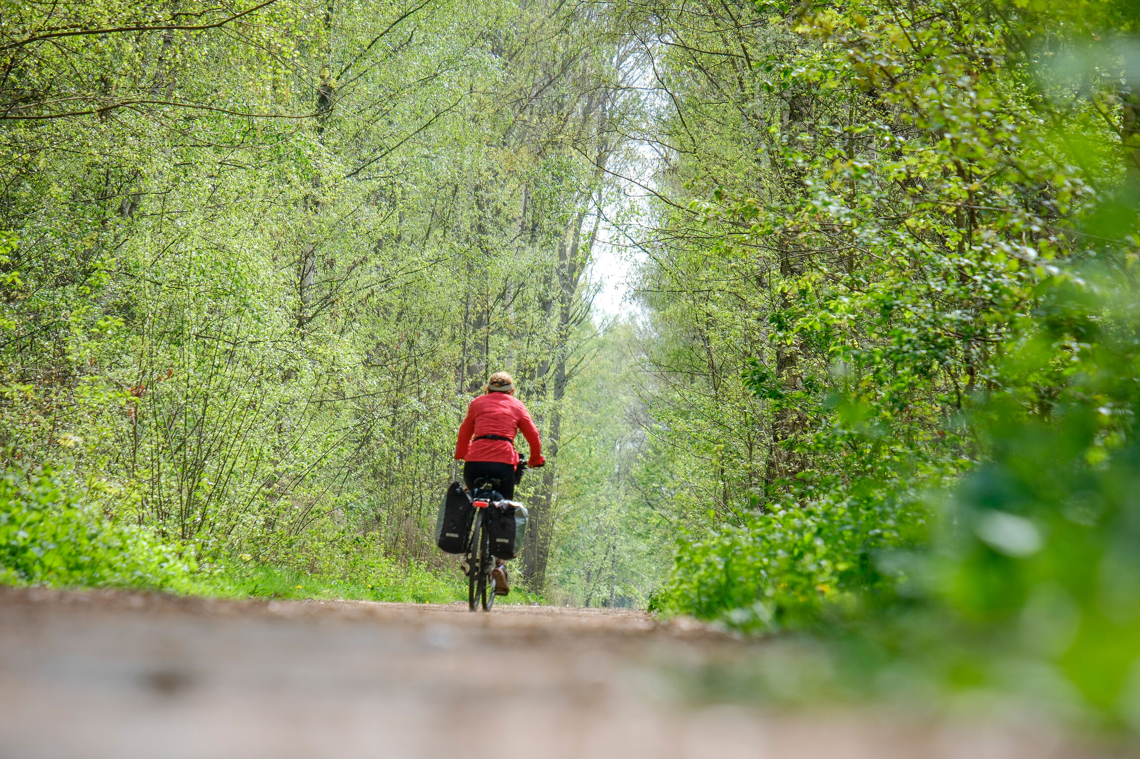 Eine Frau fährt mit einem Fahrrad auf einem Waldweg.