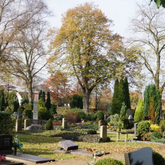 friedhof-10