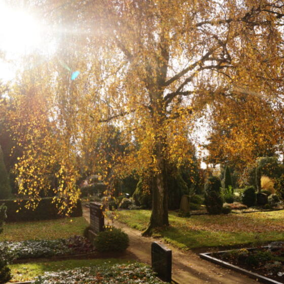 friedhof-2