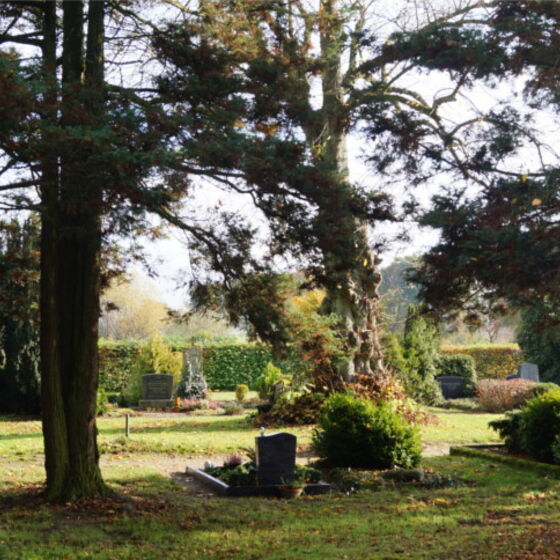 friedhof-4