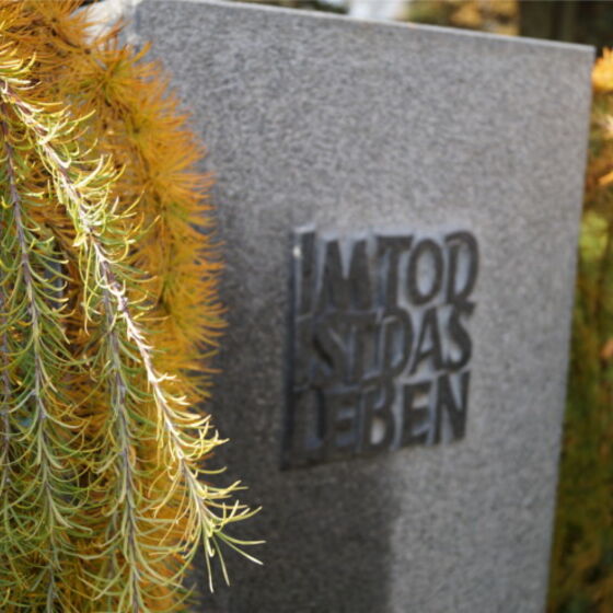 friedhof-5