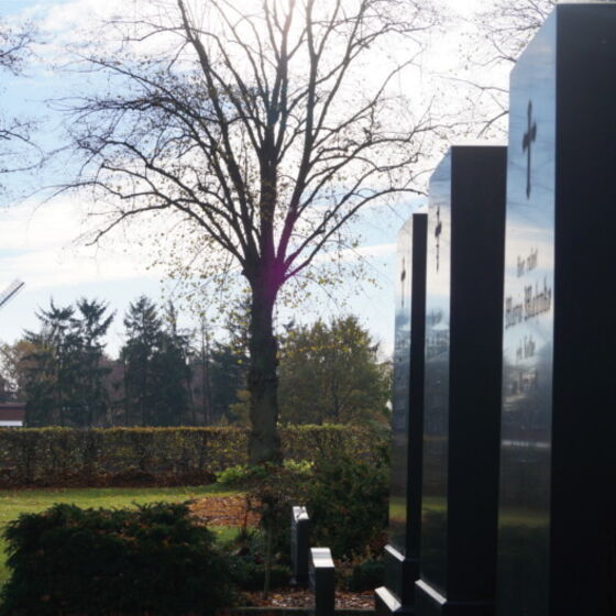 friedhof-6
