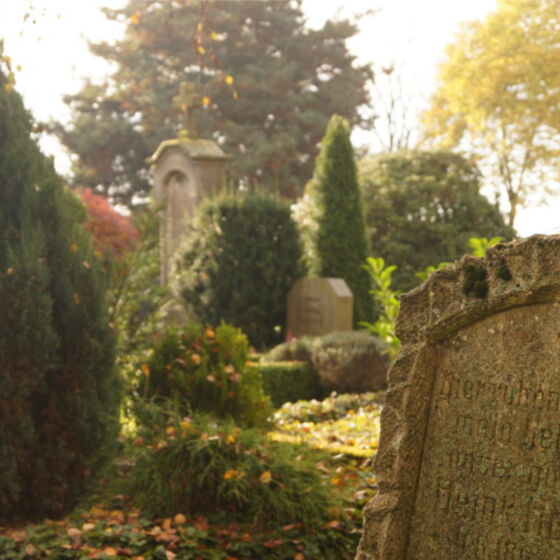 friedhof-8