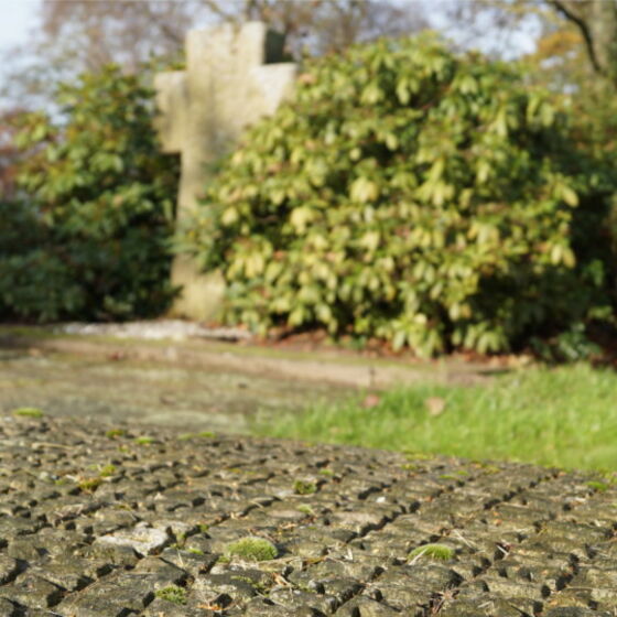 friedhof-9