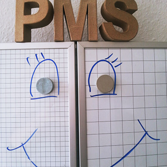 PMS im BSZ