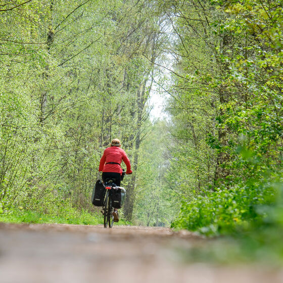 Eine Frau fährt mit einem Fahrrad auf einem Waldweg.