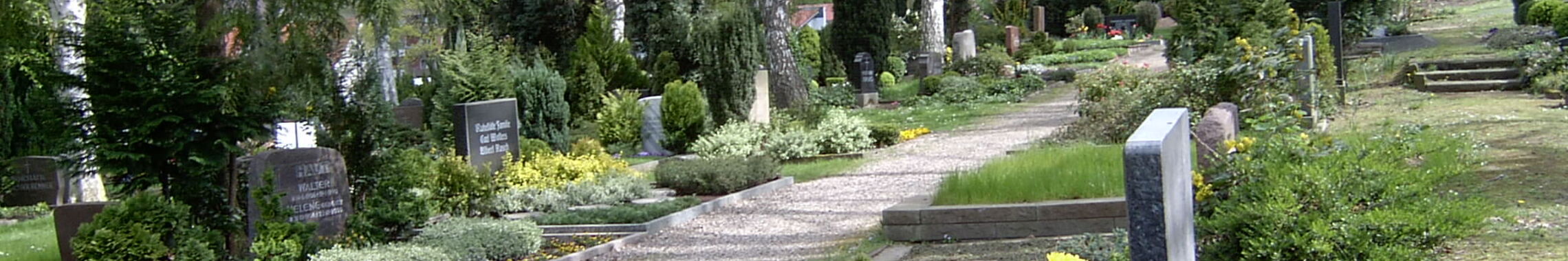 Foto_Friedhof_3