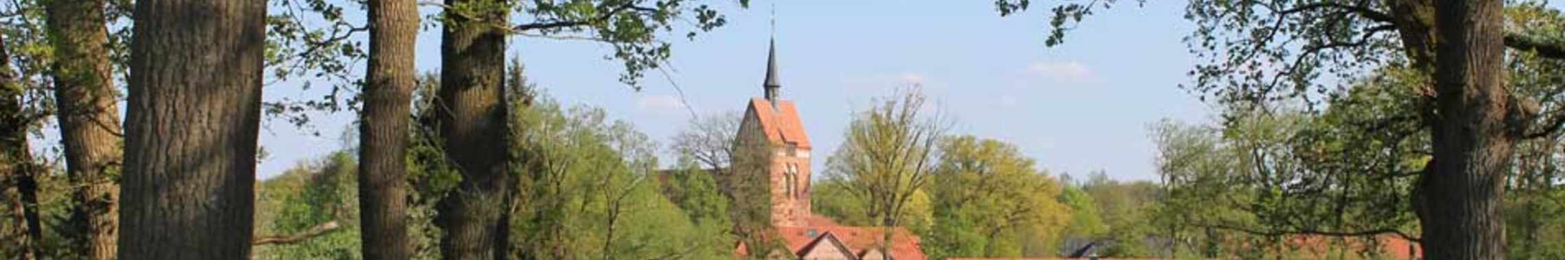 bispingen_header
