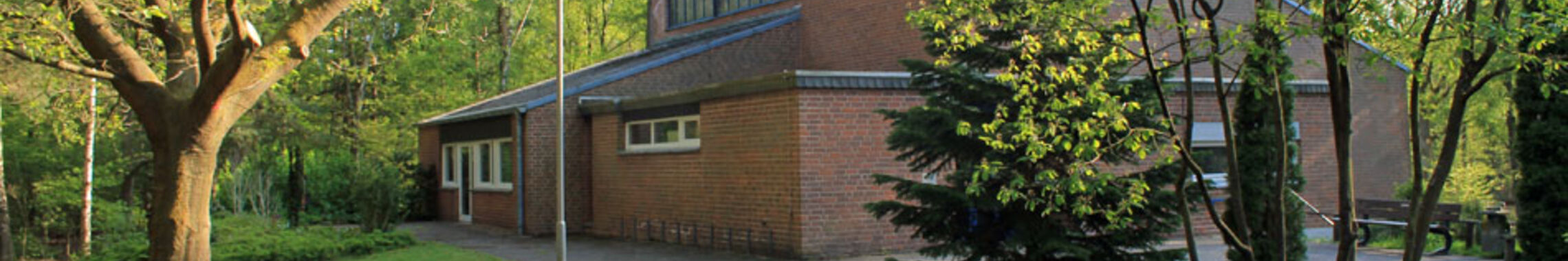 breloh_header
