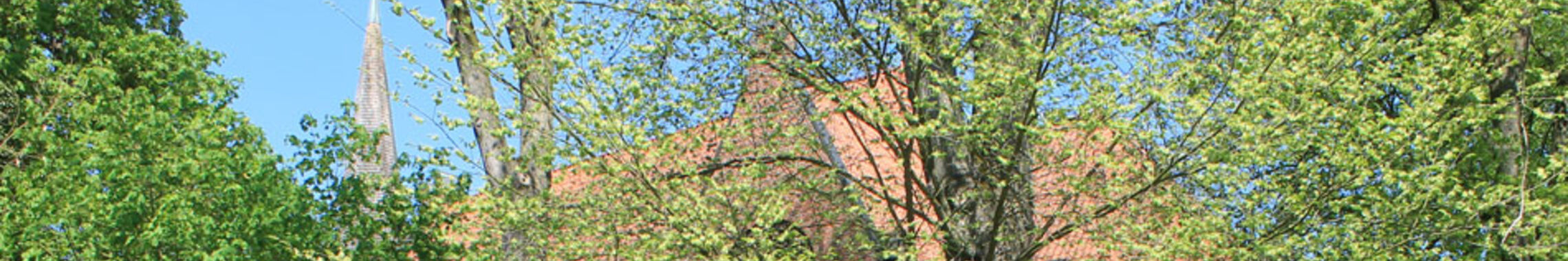 wietzendorf_header5