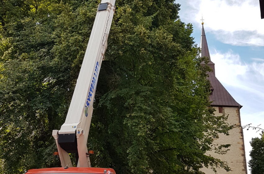 StNicolaiSarstedt_Baumpflege