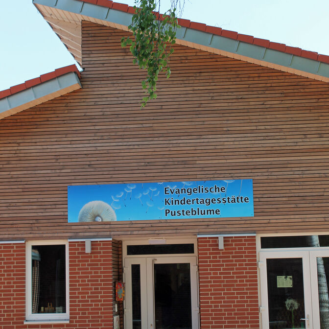 pusteblume_hermannsburg_quadrat